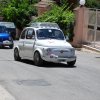 Burgio_2009 (545)
